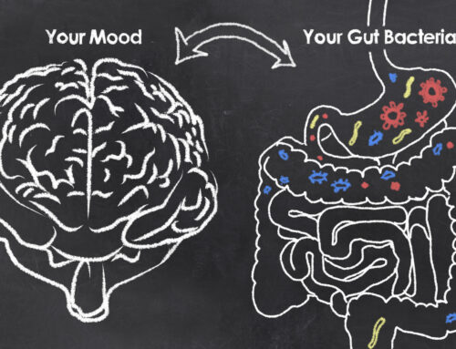 Exploring the Vital Link Between the Gut and Mental Health